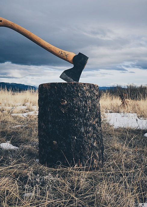 Image by Jason Abdilla