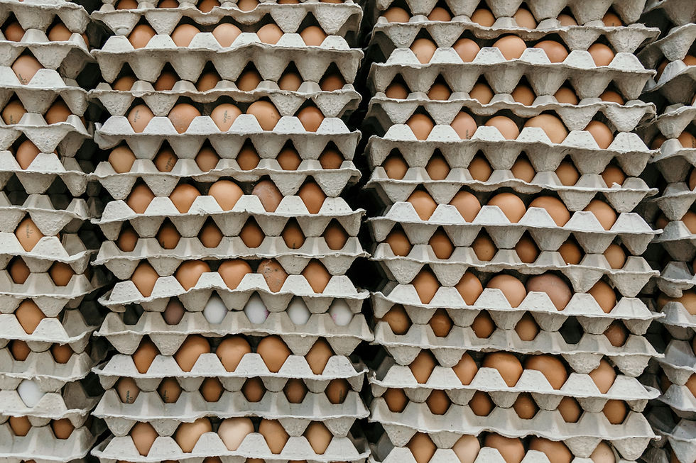 crates upon crates of eggs