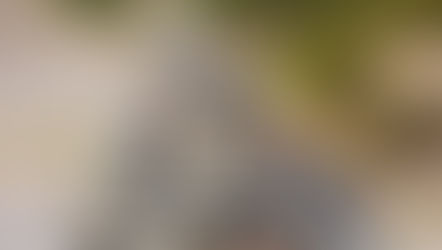 𝗦𝗲𝗹𝗳-𝗖𝗮𝗿𝗲 𝗔𝘀 𝗦𝘂𝗿𝘃𝗶𝘃𝗮𝗹 