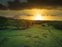 Image by Xavier Coiffic