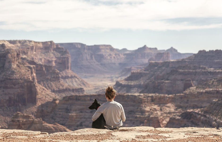 Image by Patrick Hendry