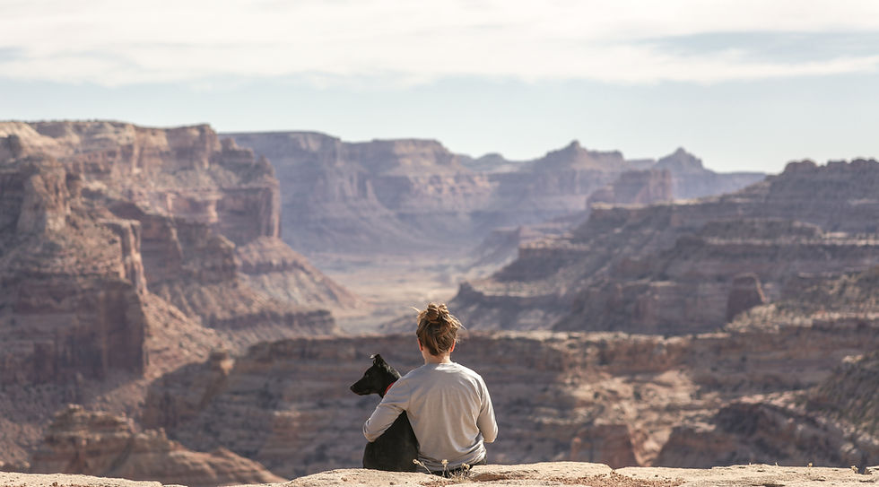 Image by Patrick Hendry