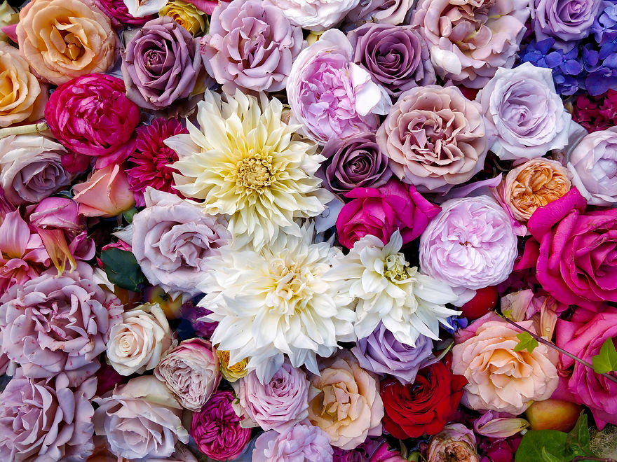 Bundle of fresh flowers in reds, purples, pinks, blushes, and whites