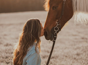 MAKE A NATURAL ANTI-INFLAMMATORY FOR YOUR HORSE