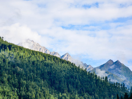 Manali: A short guide to run away from adulting