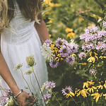 Image by Samantha Gades