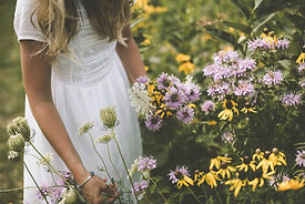 Image by Samantha Gades