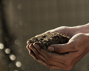 Image by Gabriel Jimenez