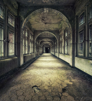 Image by Peter Herrmann