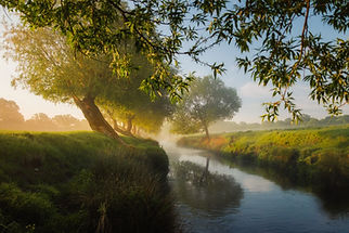 Retention & Detention Ponds -- Stream Bank Restoration -- Stormwater Management
