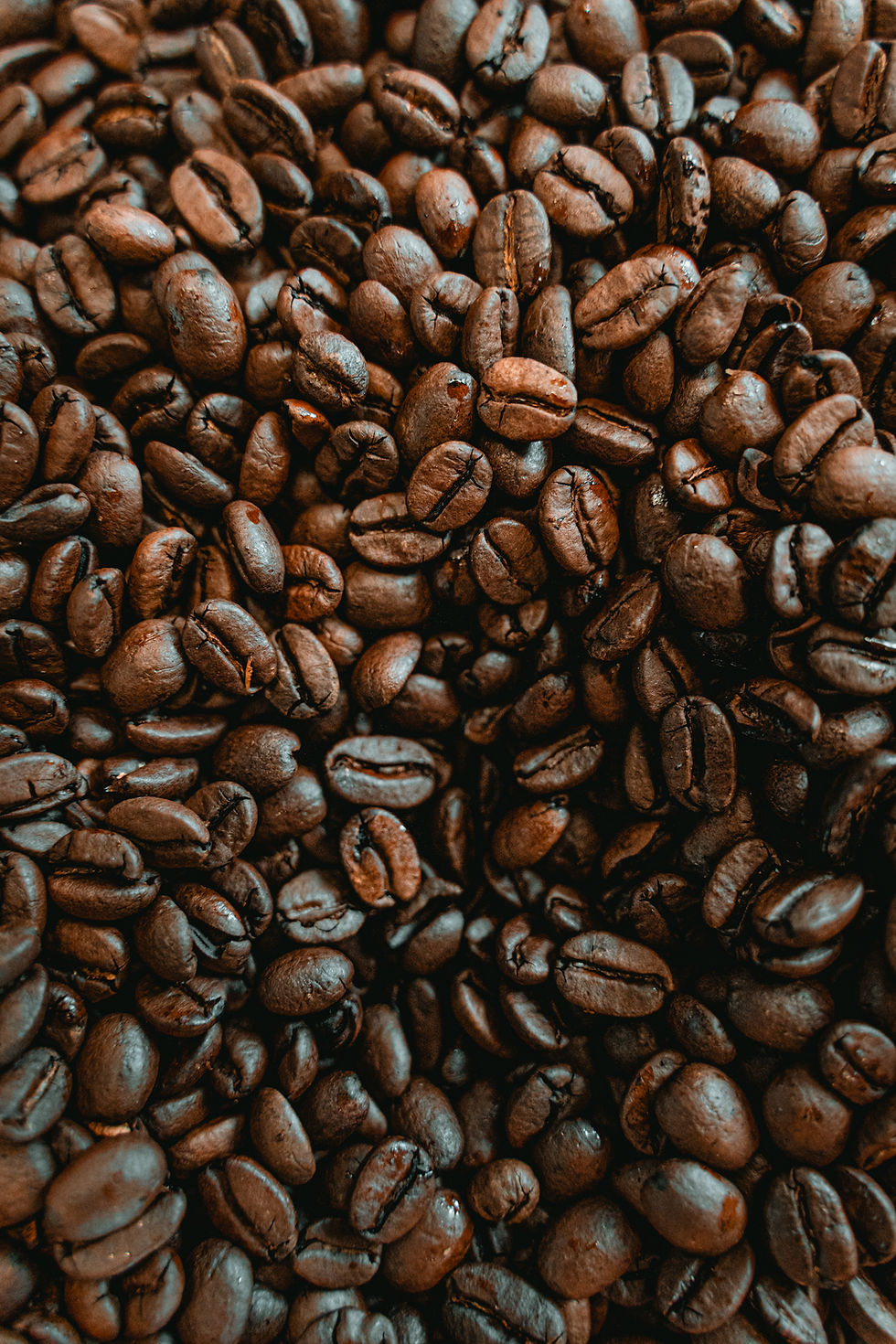 Coffee Beans