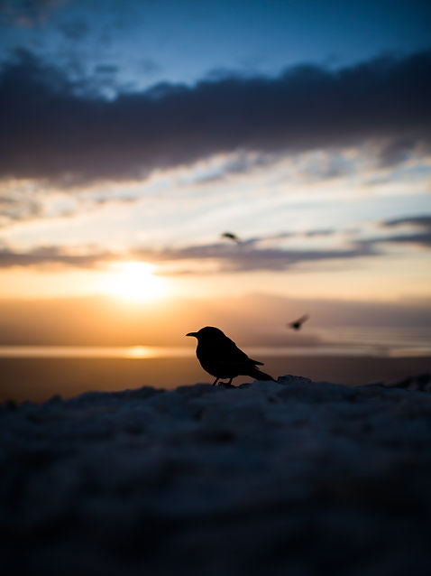 Image by Cole Keister