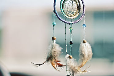 Image by Megan Thomas
