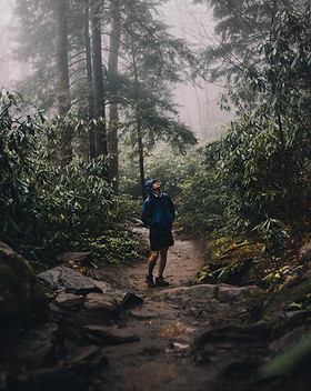 Image by Blake Cheek