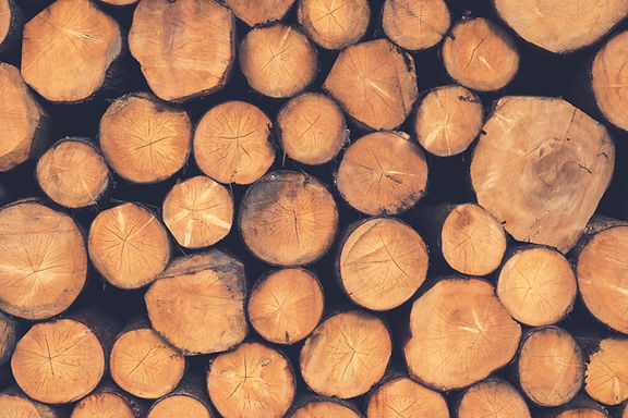 Image by Sven Scheuermeier