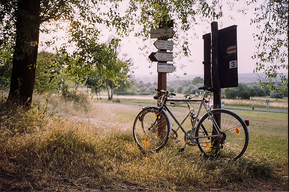 Image by Benjamin Balázs