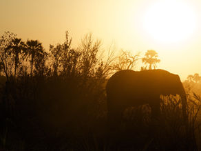 Is it possible to travel Botswana on a Backpacker's Budget?