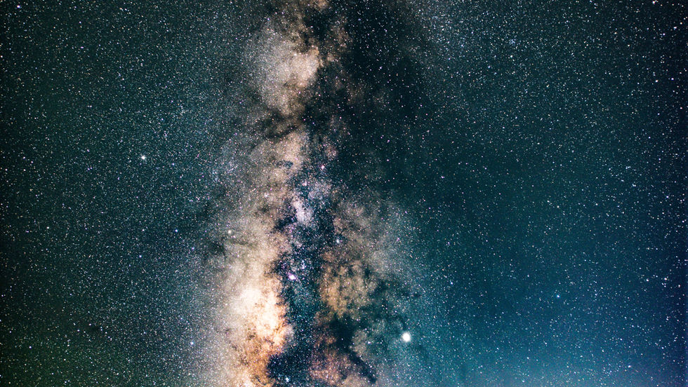 Creation Liveology®