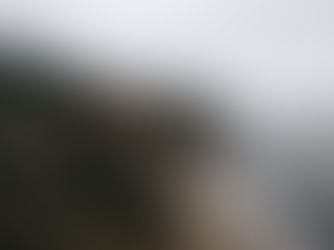 The Welcome Home Blues: Seizing Opportunities After Moving to a New Place