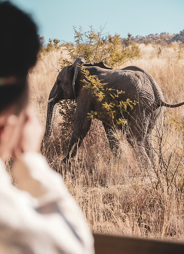 Image by Jeff Siepman