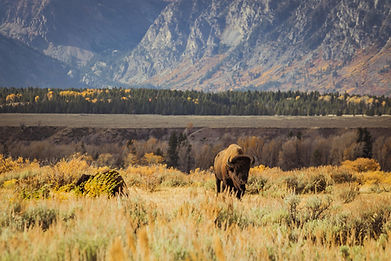Image by Tim Peterson