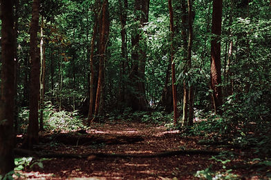 Image by Imat Bagja Gumilar