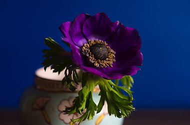 Image by Joanna Kosinska