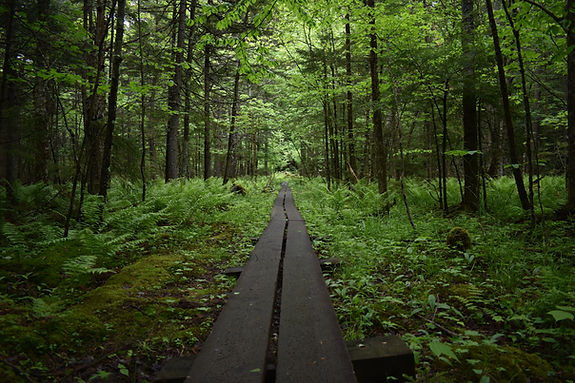 Image by Greg Garnhart