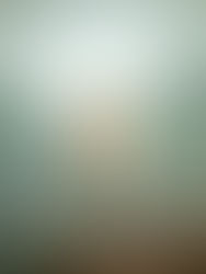 UX Lessons from Birdwatching