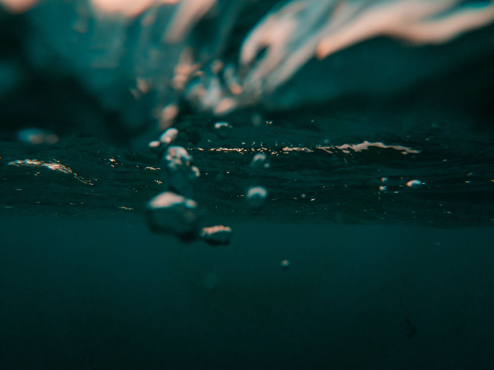 Image by Cristian Palmer