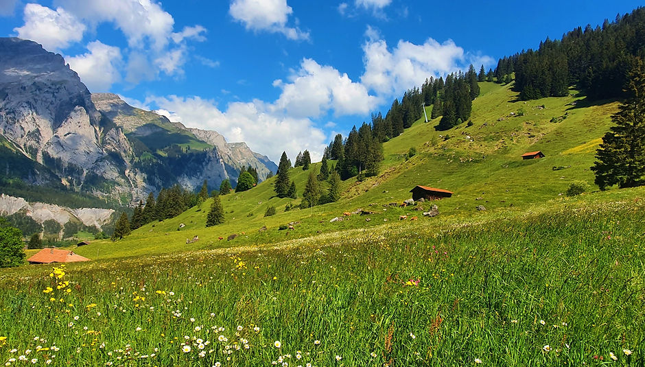 Suisse