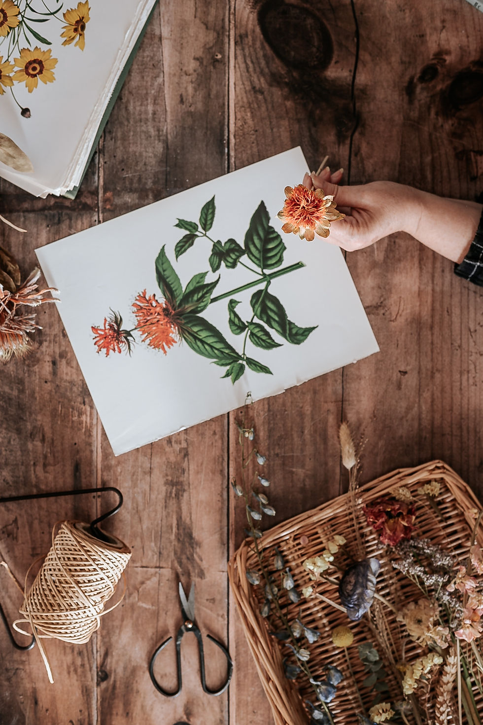 "Botanical Printmaking" (16+) Adult Art Class with Jessica Rehfield