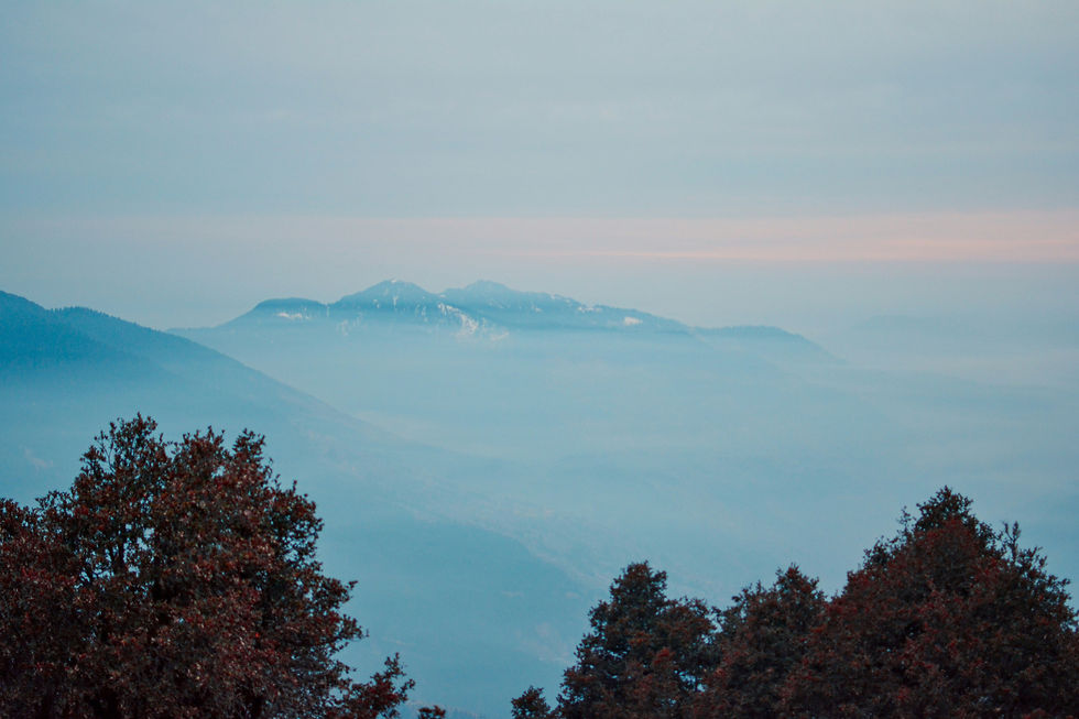 Image by Bharat Singh