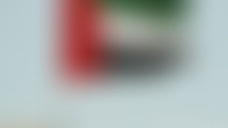 UAE Developers Turn to In-House Contracting to Gain Greater Control Amid Property Boom