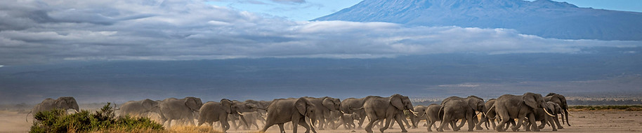 Image by Erwin Gerber