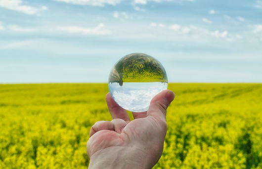 Image by Nikolett Emmert