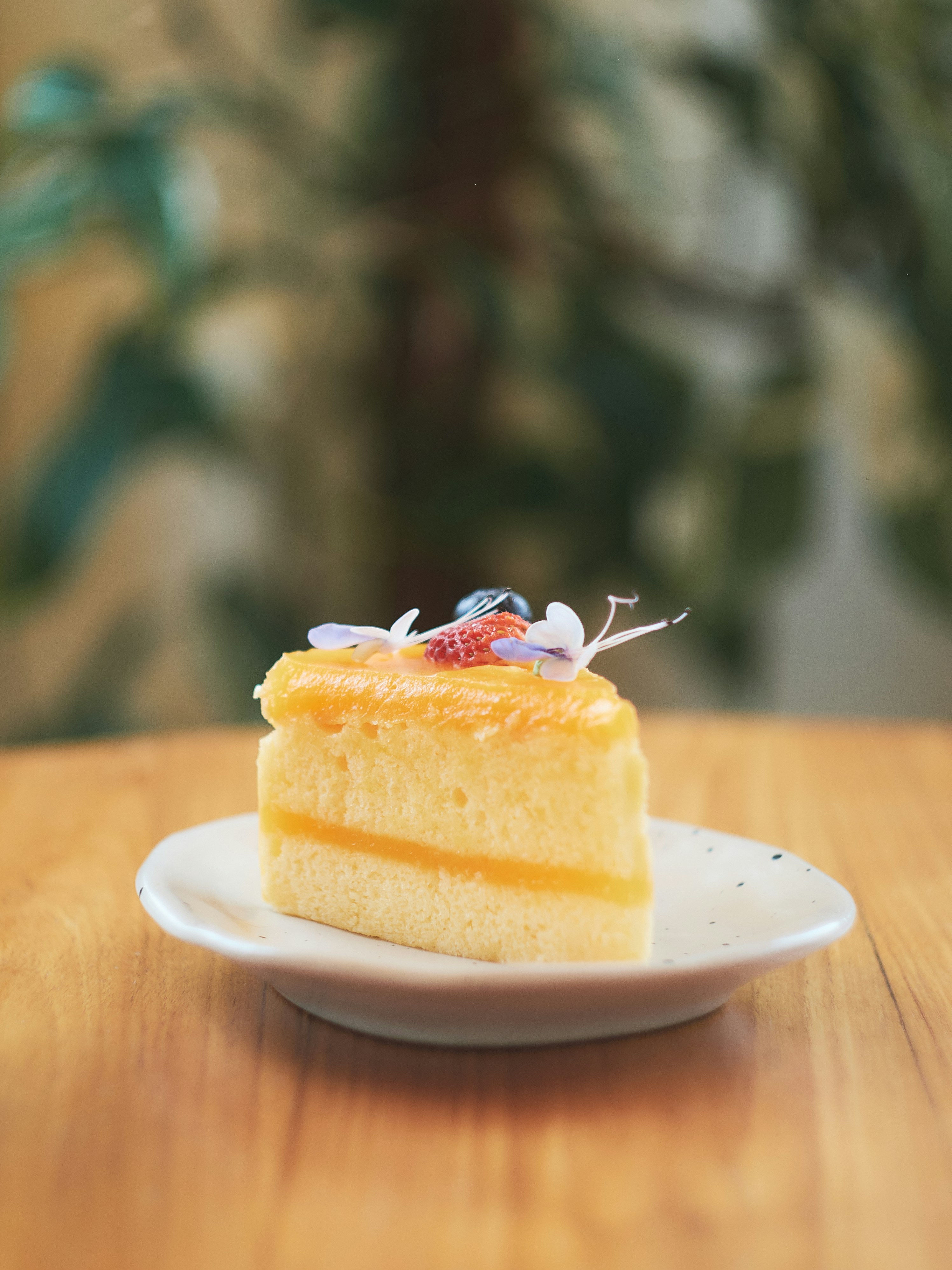 Aprikosenkuchen mit Blätterteig