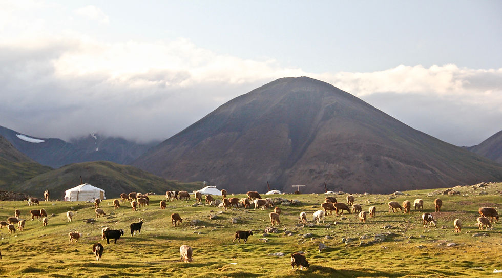 Image by Bolatbek Gabiden