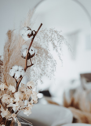 Image by Jasmin Ne