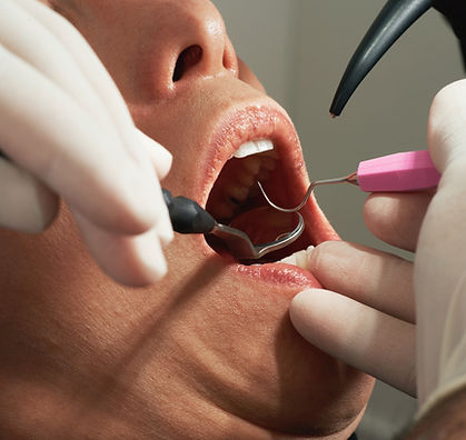 Image by Caroline LM