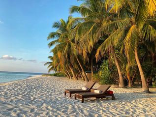a secluded beach front with two lounge chairs by the palm trees