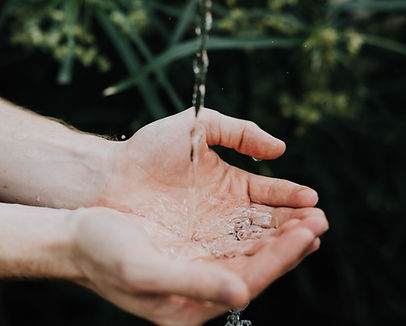 Image by Austin Kehmeier