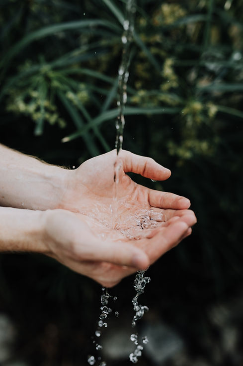 Image by Austin Kehmeier
