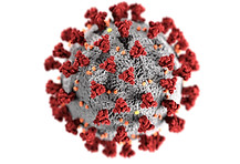 Image by CDC