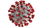 Image by CDC