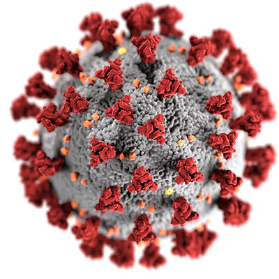 Image by CDC