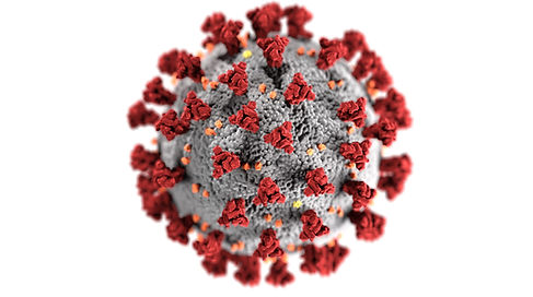 Image by CDC