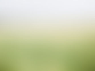 Field