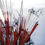 Thumbnail: LOBAN INCENSE STICK