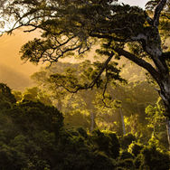 Safeguarding the planet one acre at a time